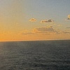 Ocean Trail