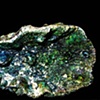 Orella