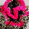 Hyperbolic Plane