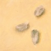 Feathers