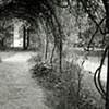 Phoenix Gate: Facing  East