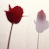Burning Love A 