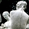 The Back