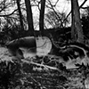 The Accident