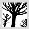 Trees of Heaven
