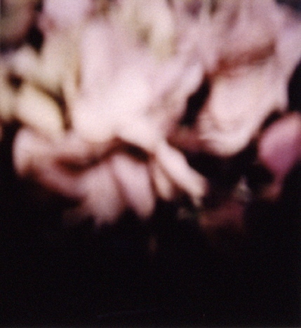 pink floral