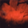red floral, 2