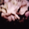 pink floral