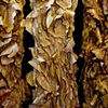 tryptich (detail)
