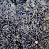 Static study VII