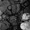 bubble series no. 5