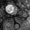 bubble series no. 6