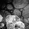 bubble series no.3