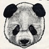 Hua Mei