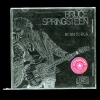 Bruce Springsteen: Born to Run
