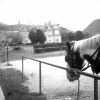 killarney