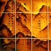 Oil-Painting