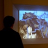Beguiled Installation