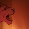 Pink Tiger