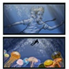 Storyboards sequence for music video

Client: The Sanchez Bros.