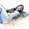 Life Drawing