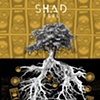 Shad 
