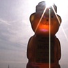Honeybear