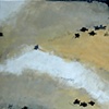 The Secret of Migration
From the "Migration" series