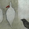 3 Bees and a Bird