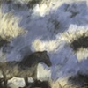Changing Pastures