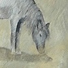 Graze