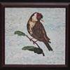 English Bird