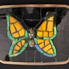 Yellow Butterfly Buckle