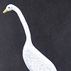Snowy Egret