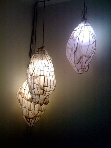 Chrysalis Lanterns