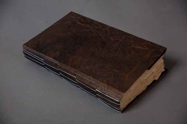 Cicada Journal (Spine)
