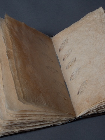 Cicada Journal (Detail 1)