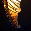 For The Real Girls
tail detail