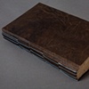 Cicada Journal (Spine)