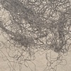 Untitled, Tangle