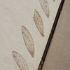 Cicada Journal (Detail 2)