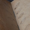 Cicada Journal (Detail 3)