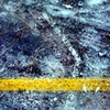 Snow Trail
