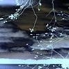 Negative Branches over Lake