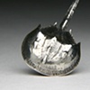 Horseshoe Crab Pendant