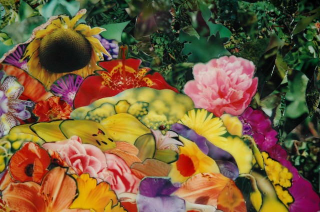 Photo collage by John Schuh featuring flowers.