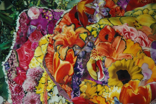 Photo collage by John Schuh featuring flowers.