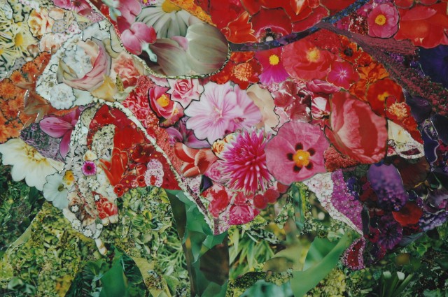 Photo collage by John Schuh featuring flowers.