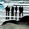 Cannon Beach - Detail