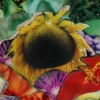 The Flower - Detail